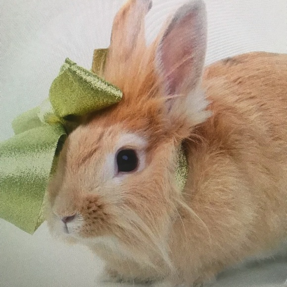 Meet your Posher, Tyrone - Picture 1 of 1